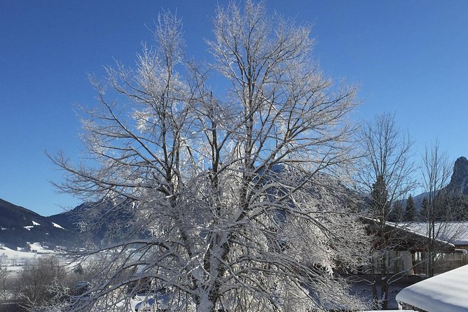 A Private Garmisch Walking Tour - Your Guide Matters: Stories, Humor, and Useful Local Tips