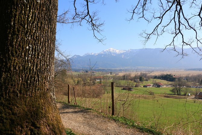Dragon Slayer Way Beer Hike Food Experience Private Tour (departs Munich) - Why Murnau and Dragon’s Way make a beer hike work