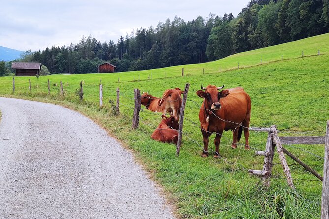 Dragon Slayer Way Beer Hike Food Experience Private Tour (departs Munich) - The 7-km hike: pace, views, and what you’re really signing up for