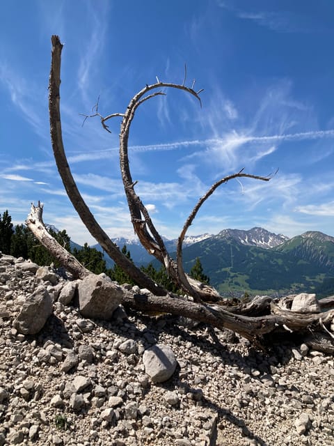 Ehrwald: Hiking Tour into breath taking Nature - The lakeside panoramic photo stop you’ll want to plan for
