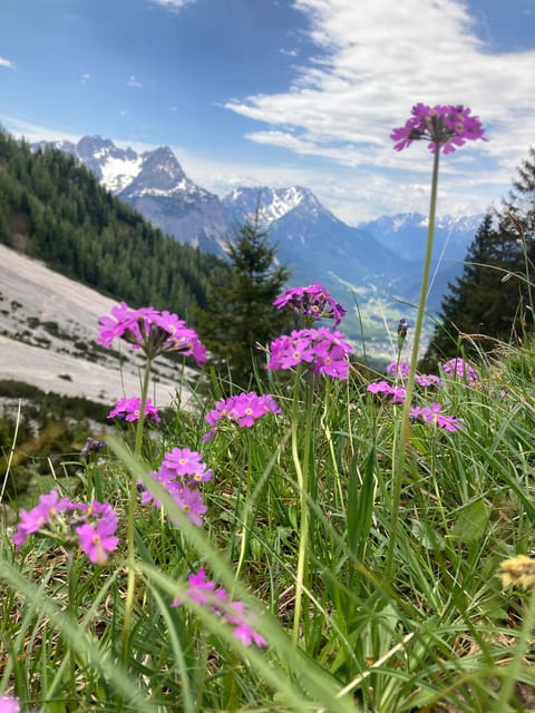 Ehrwald: Hiking Tour into breath taking Nature - Traditional log cabins along the way: an alpine pause that feels real