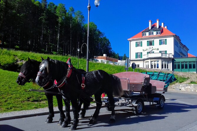 EXCLUSiVE NEUSCHWANSTEiN and XXL-Pedestrian SUSPENSiON BRiDGE Tour INCL. TiCKETS - Highline179: the bridge, the fees, and how to enjoy it even if you pause