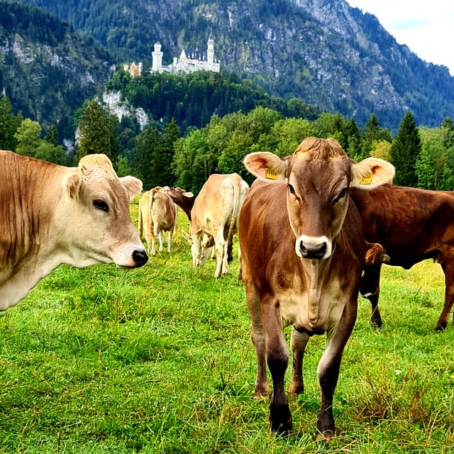 From Füssen: Neuschwanstein & Linderhof Castles Private Tour - Oberammergau: where the day turns from icons to everyday charm