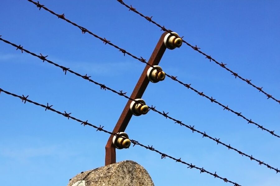 From Munich: Dachau Concentration Camp Private Tour by Car - The guide experience: licensed, language-matched, and careful with sensitive detail