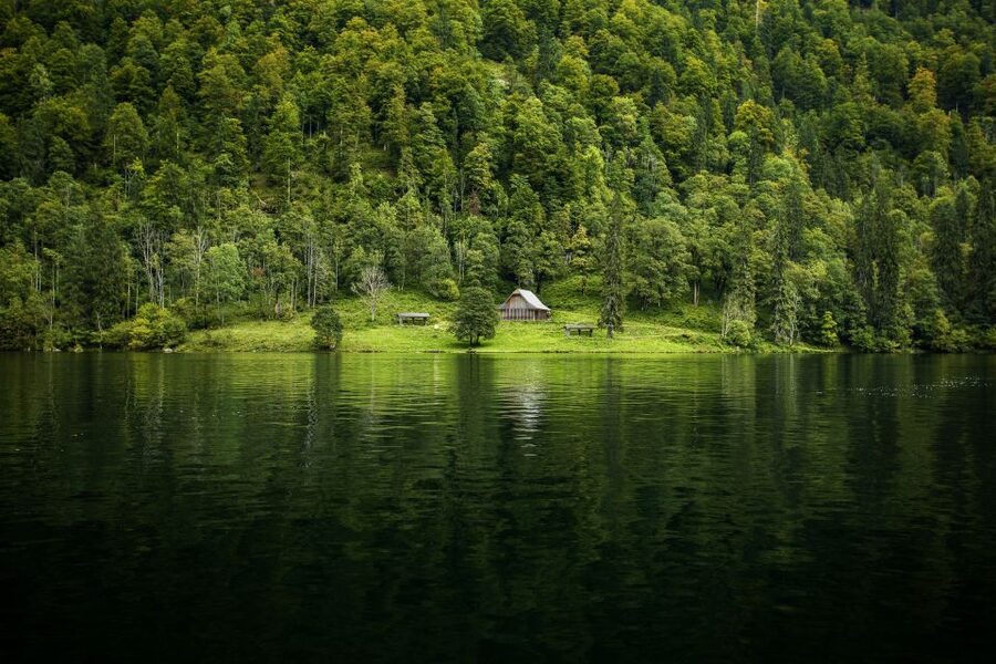 From Munich: Königsee Day Tour by Van - Price and value vs. DIY: what you’re really paying for