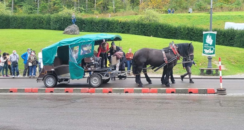 From Munich: Royal Fairytale Tour - Royal Bavaria in one loop from Munich