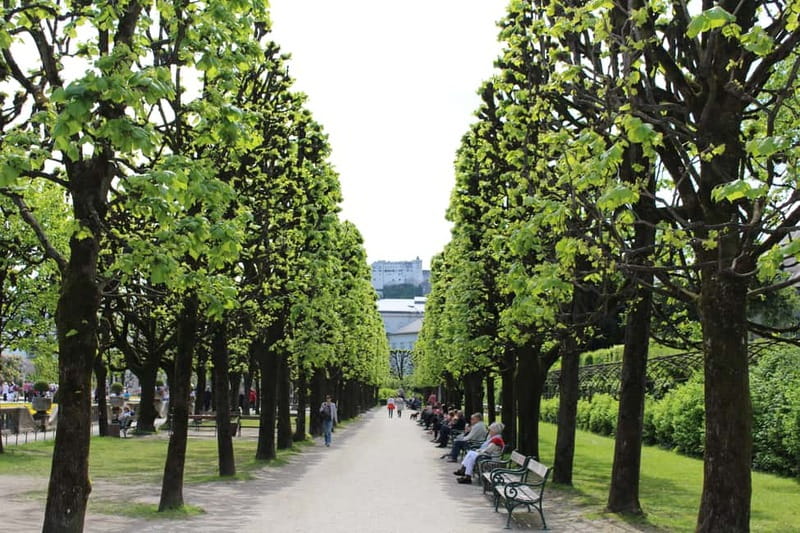 From Munich: Salzburg Day Trip by Train - Key highlights you’ll actually feel