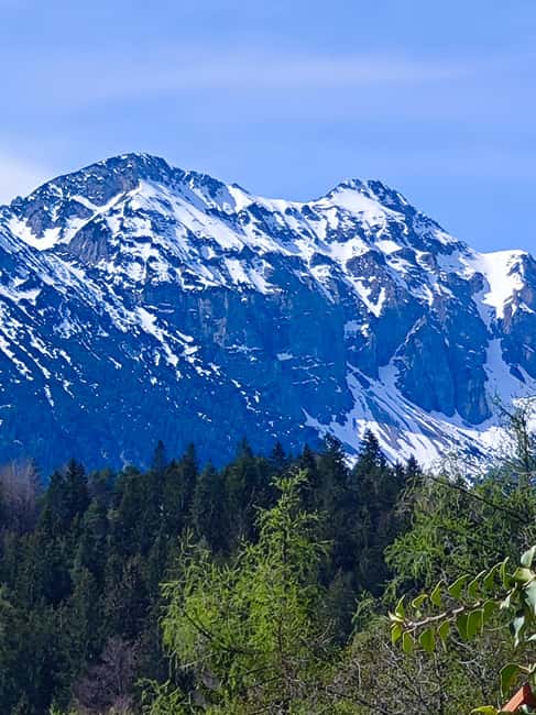 Füssen to Neuschwanstein Castle - Guided Scenic Tour - Price and value: what $47 includes (and what it doesn’t)