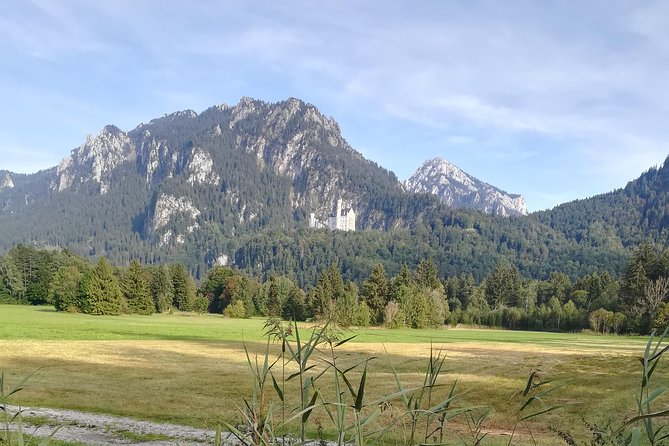 Half day- from Fussen to Neuschwansteincastle & Linderhof castle - Timing, Tickets, and the “Driver vs. Guide” Reality Check