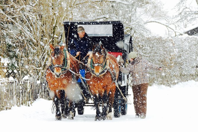Horse Carriage Tour of Garmisch-Partenkirchen - Guide stories you’ll remember: WWII, the Roman Road, and 1936