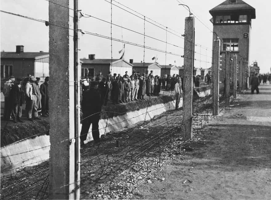 Munich: Dachau Concentration Camp Memorial Site Tour by Car - The guided storytelling that makes the camp legible