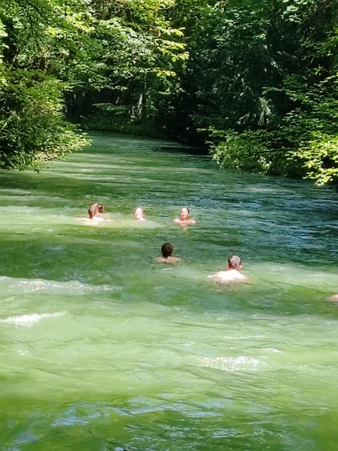 Munich: Mini Classic Bike Tour with Beer Garden Stop at 4 PM - The 4 PM timing: why this tour works so well