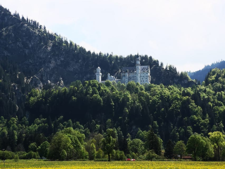 Munich: Neuschwanstein Castle by Bus with Alpine Bike Ride - Neuschwanstein interior: skip-the-line style tickets, plus the Ludwig story