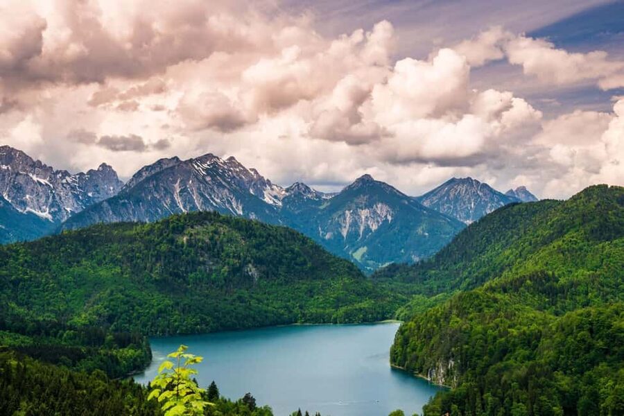 Munich: Neuschwanstein Castle Chinese Day Tour - Key things I’d pay attention to