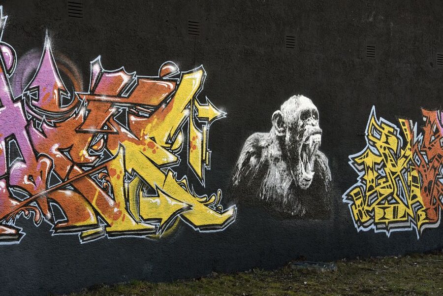 Munich: Street Art Bike Tour - Price Check: Is $40 Worth 3.5 Hours?