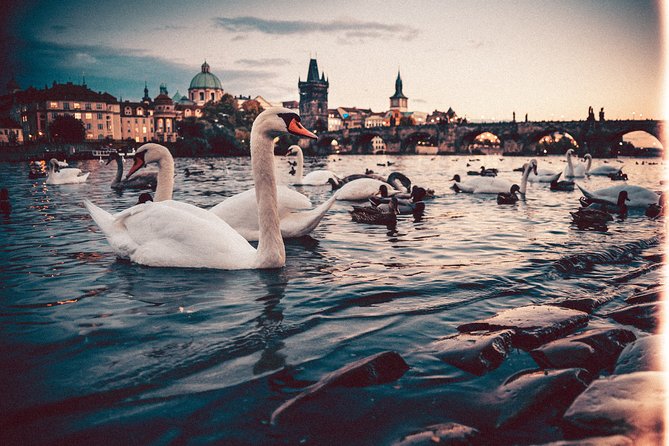 Munich to Prague - Private Transfer with 2 hours of Sightseeing - Price and value: is $297.85 per person worth it