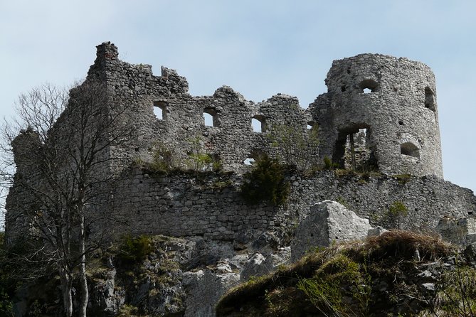 Neuschwanstein and Hohenschwangau plus Oberammergau Private Tour - Hohenschwangau Castle and Alpsee stroll: Ludwig’s childhood world