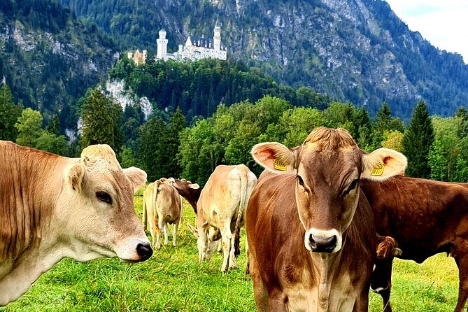 Neuschwanstein Castle, Ettal Abbey and Oberammergau Private Tour from Munich - Ettal Abbey: Baroque church, monastic life, and a calm pause