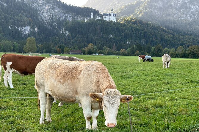Neuschwanstein Castle & more - Private Tour from Munich - Ettal Abbey near Oberammergau and Garmisch: calm, not rushed