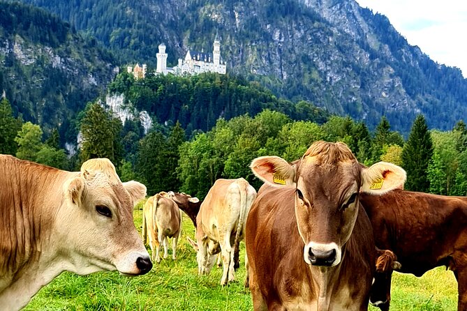 Neuschwanstein Castle Tour with Skip the Line from Hohenschwangau - Walking up to Neuschwanstein: charming views, real steps