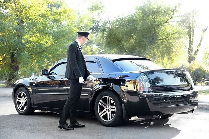 Private One-way Airport Transfer Munich Airport To Munich - Waiting time and luggage reality: what 45 minutes buys you