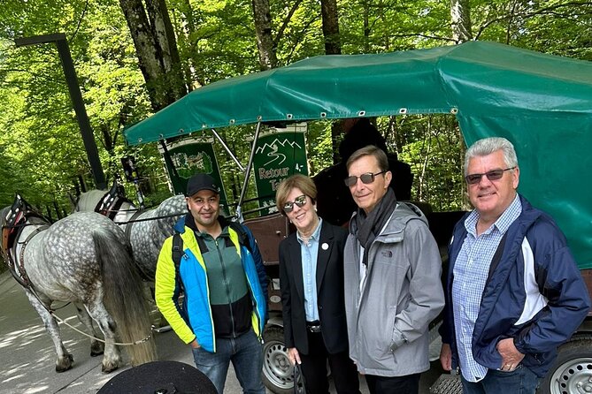 Private Tour from Munich: Neuschwanstein, Linderhof, Oberammergau - Horse-Drawn Carriage Back to Hohenschwangau