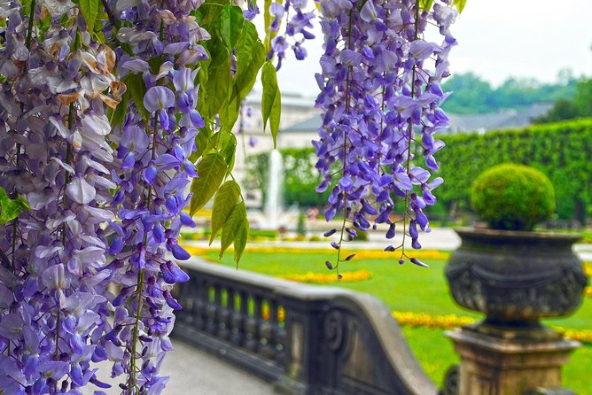 Private Transfer from Munich to Salzburg, English-speaking driver - Should You Book This Munich to Salzburg Private Transfer?