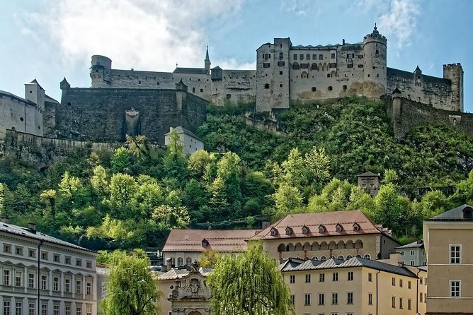 Private Transfer from Munich to Salzburg with 2 hours for sightseeing - Vehicles and luggage: sedan to large VAN for groups