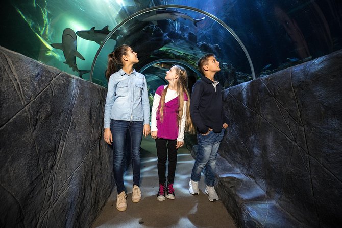 SEA LIFE Munich Admission Ticket - Toilets, space, and comfort: practical things to plan around
