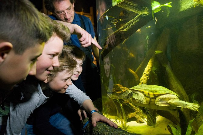 SEA LIFE Munich Admission Ticket - What the aquarium actually contains: 3,000 creatures in 33 tanks